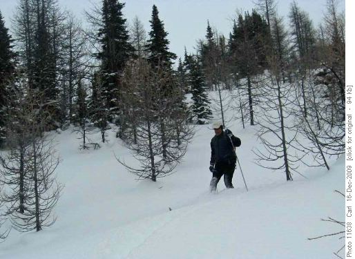 Wallace skiing for the first time in deep powder