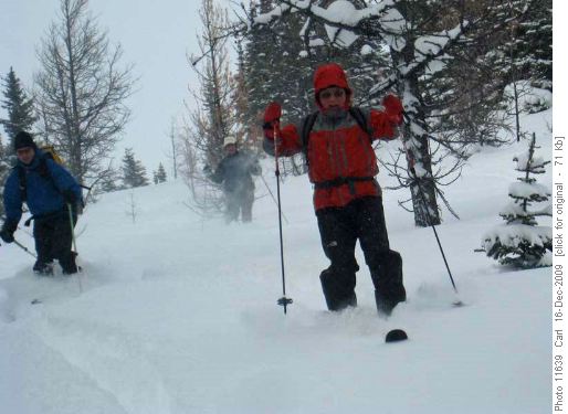 David, Wallace and Peter in powder on the east side of Healy Pass