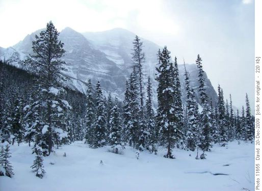 Mt Temple from Paradise Valley