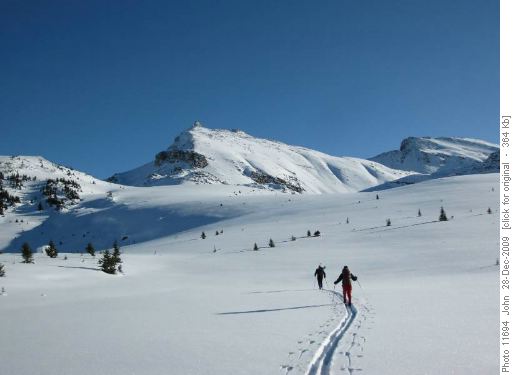 Molar meadows looking towards peak south of North Molar pass.