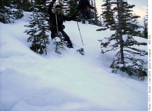 Snowshoe skiing