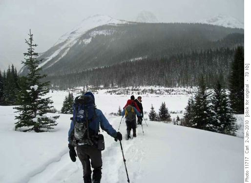 Setting out for Commonwealth Ridge (destination is the highest trees, route the right hand skyline)