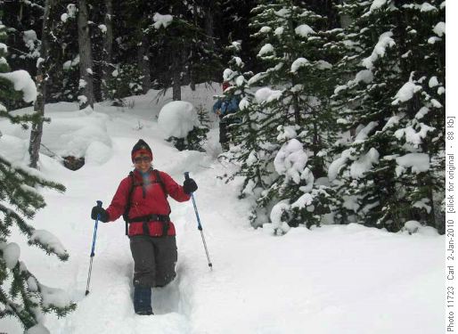 Gaulfia near the bottom of the descent