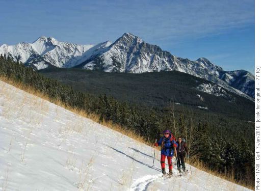 Near the top of the Coal Mine trail (Skogan, Lorette and Mary Barclay's Mtn in background)