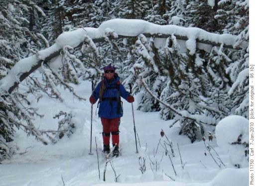 Looking for a Marmot-Skogan connector trail