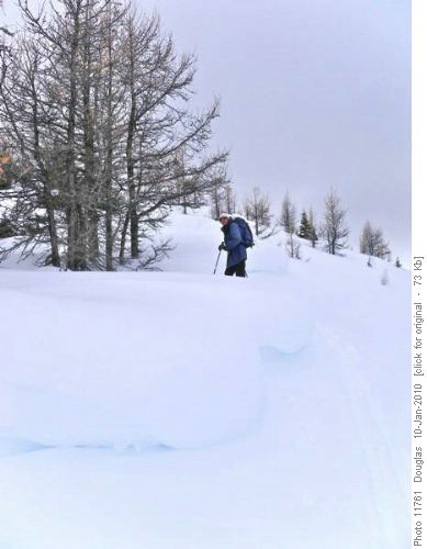 Manfred along the ridge