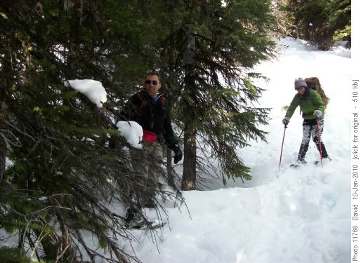 Breaking a new trail or two back down to the lake