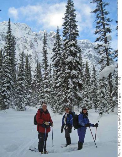 Open area heading up Boom Lake drainage (Boom Mtn in background)