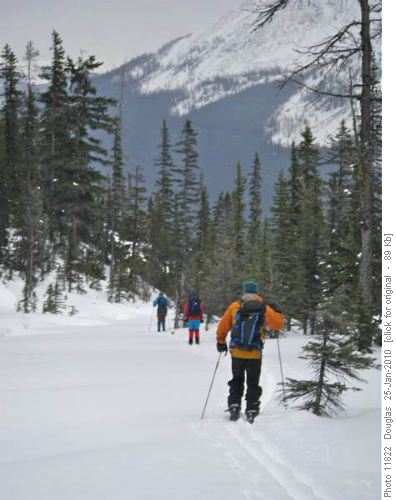 On the way down the creek towards the Giant Steps