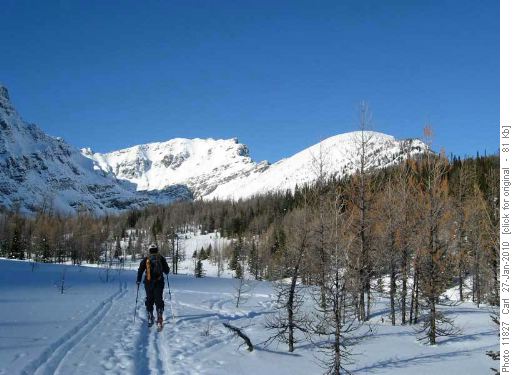 In Panorama meadows, heading to the ridge
