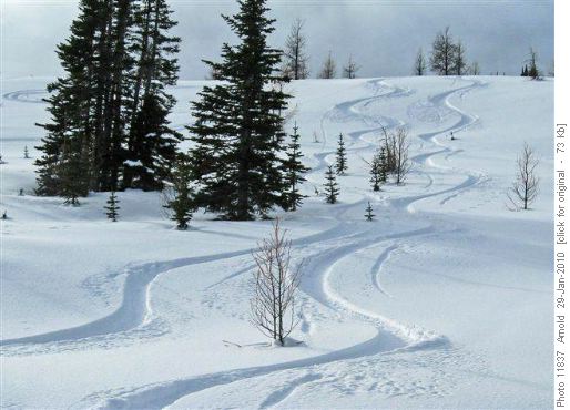 Nice Turns By Bill & Manfred