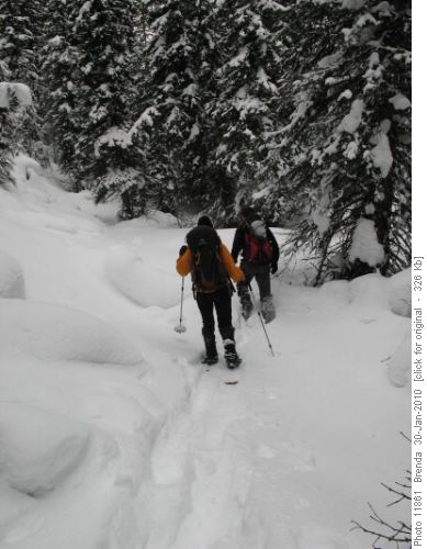 Breaking trail in Fox Creek