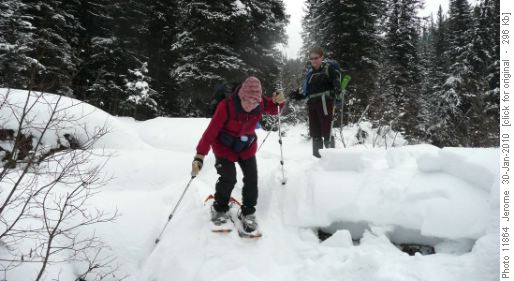Descending from bridge to Fox Creek