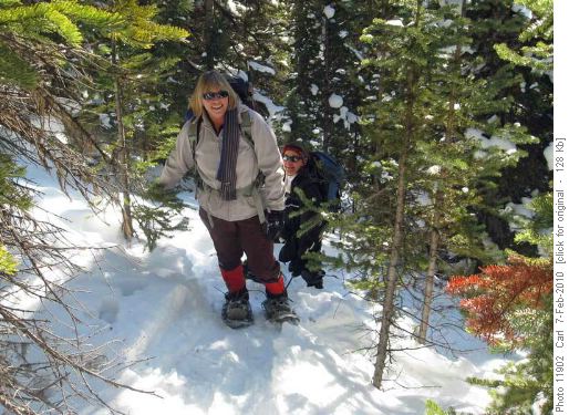 Kim and Zora tramping up through the woods