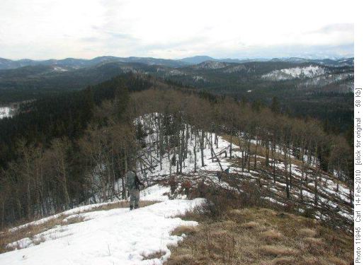 Descending ridge to Curley Sand Trail