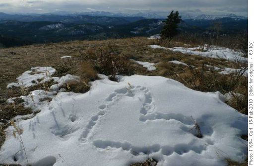 Sweet Valentine Day hike (photo by {259 Sharon Wingenbach})