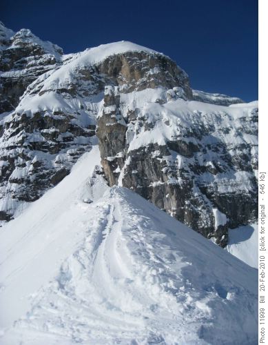 Looking Up from the Morraine