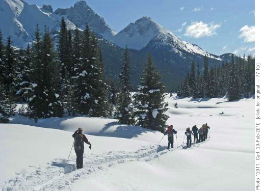 Touring along the Upper Spray Valley