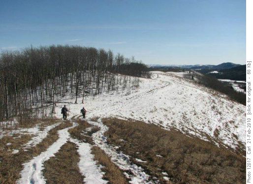 Carey Ridge