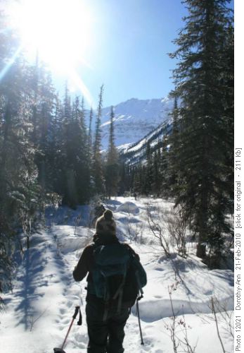 On the creek trail, nearly at the lake
