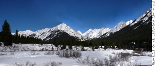 View up the Johnston Creek Valley from the Inkpots, dominated by Block Mountain (2,934m)