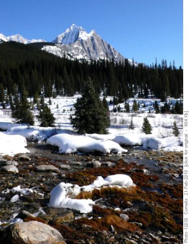 The inkpots' overflow drains into Johnston Ck. Mt Ishbel (2,908m) is in the background.
