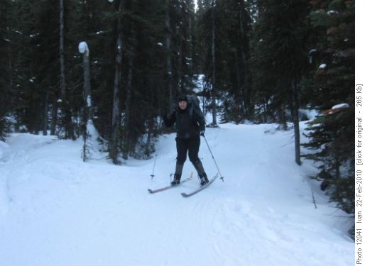 McArthur trail/Alicja/