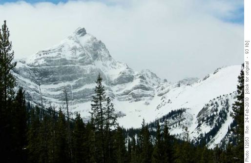 Black Prince from Smith Dorrien Creek