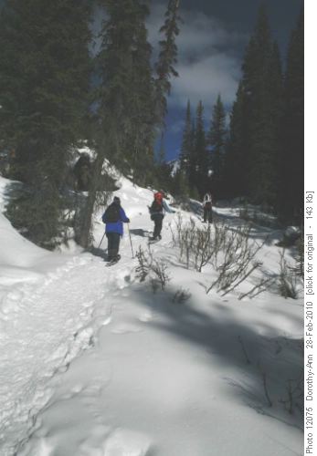 On the lower trail