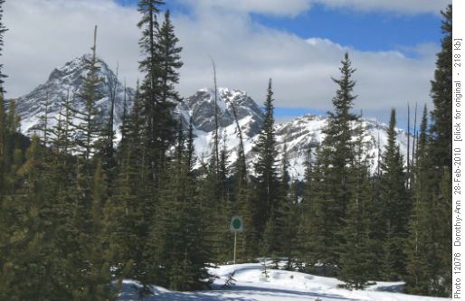Turn-around point at junction with Green trail