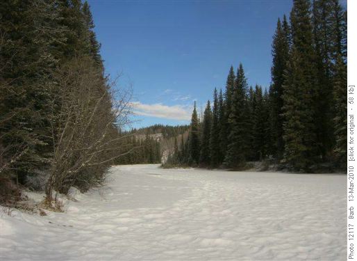 Looking up the Sheep River