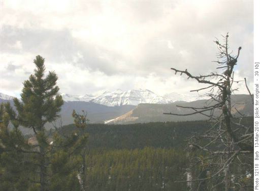 Mt Burns sprawling behind Green Mt