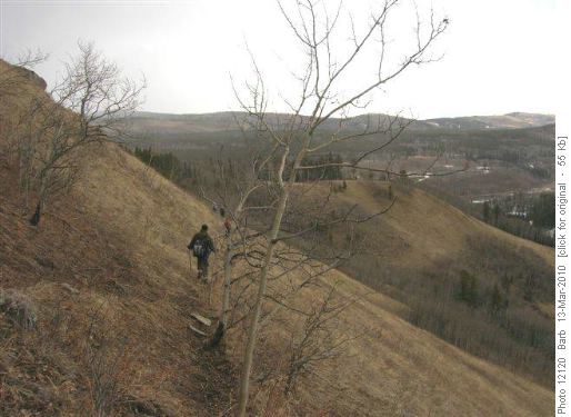 Side-hilling along a very good cow trail - before the snow squall hit