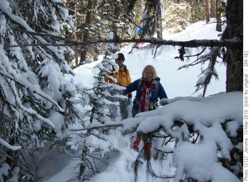 {184 kim kem} and {607 dam ga} on the off trail