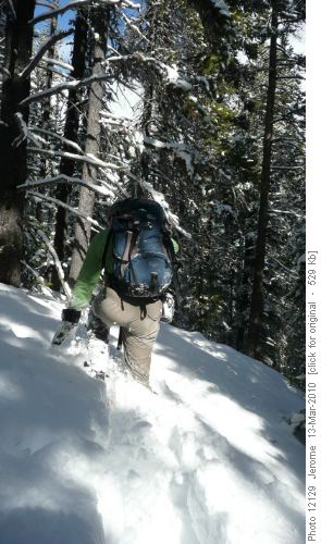 Heading back up to the trail
