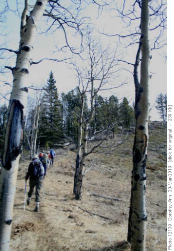 Heading up the first of the Sandy McNab hills after lunch