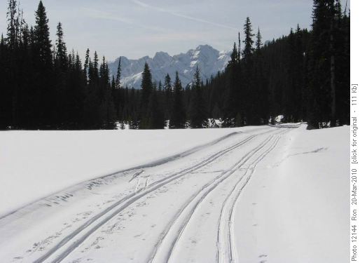 Tracks on Tyrwhitt