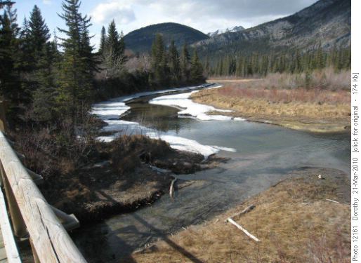near Many Springs
