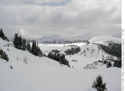 Sunshine Meadows (Mts Fatigue, Citadel & Quartz Ridge)