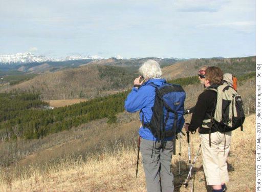 Picking out the peaks