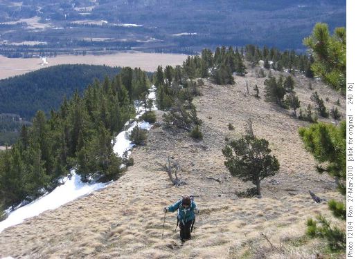 {1314 Barb Brunton} ascending SE ridge of Bull Creek Hills
