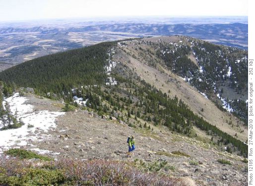 Bull Creek Hills view east along ascent route