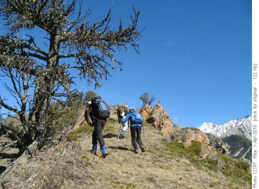 hiking up SE ridge of Junction Hill
