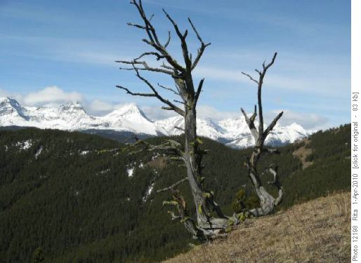 view from SE ridge of Junction Hill