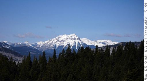 Mt Tecumseh (2,549m) to the West of the Ridge