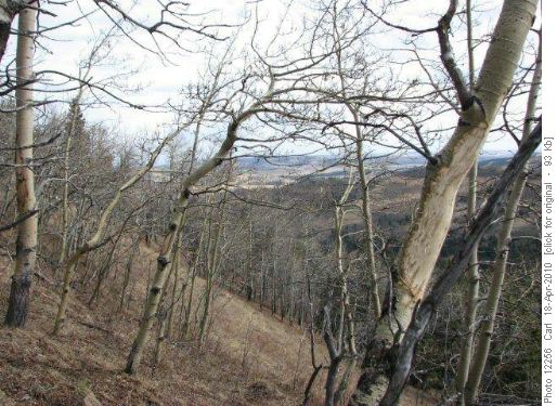 Our ridge