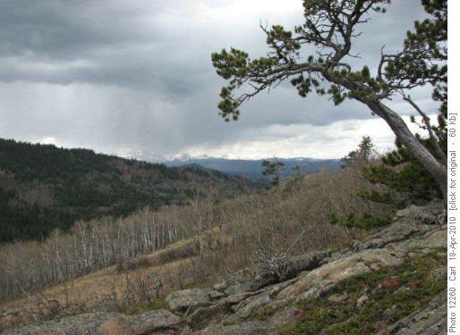 Typical ridge top