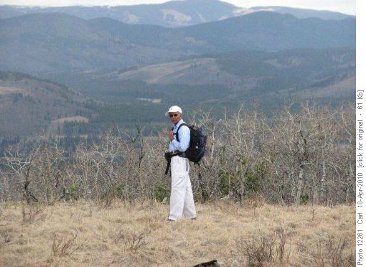 Ghulam in gnarled aspen forest