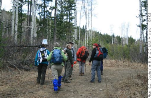 Start of the "off-trail" trail