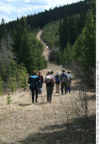 Trail to Homestead road